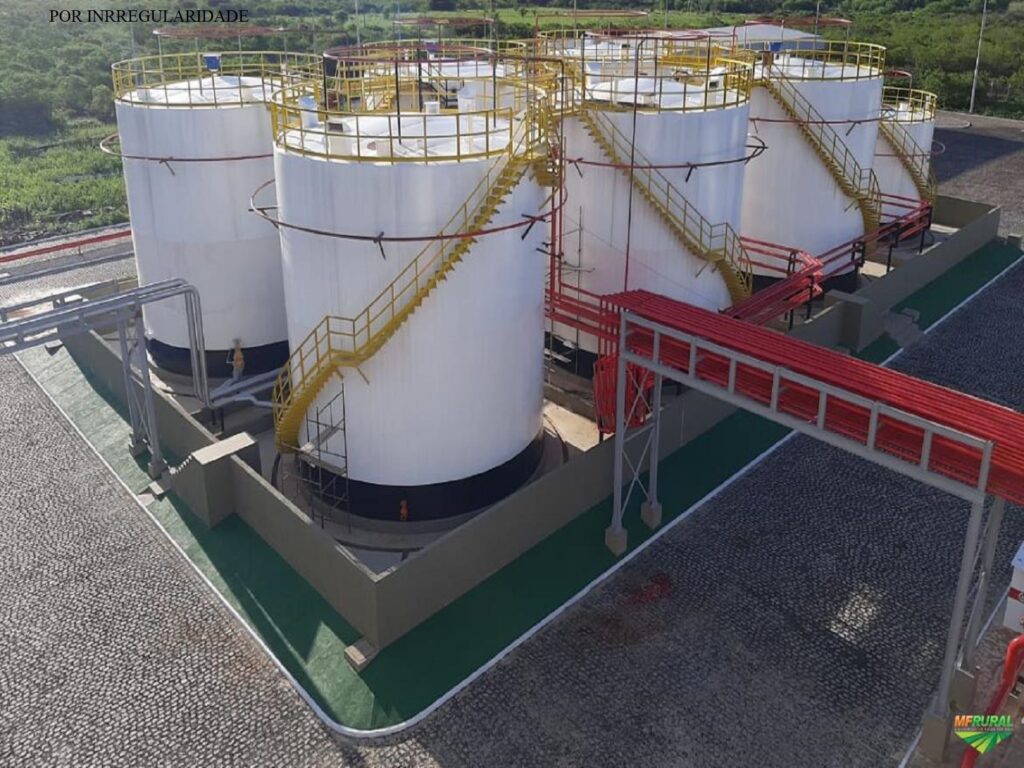 Multa por Irregularidade